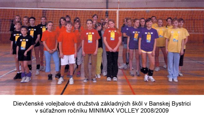 Minimax Volley 2008/2009 tímy